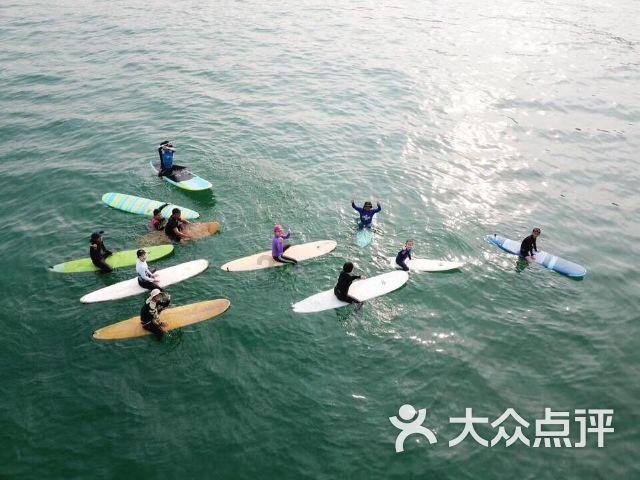请问网友，这是什么植物？谢谢回答！游戏画面