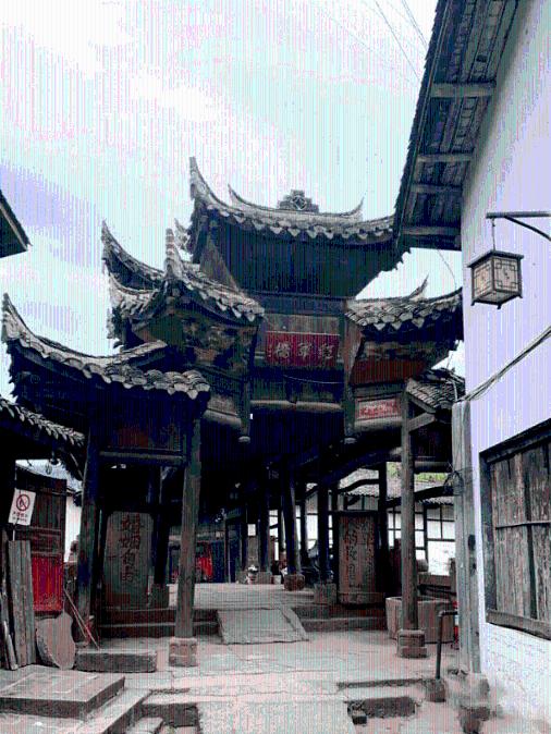 真正的五常大米是什么样的？95后新农人现场为你科普